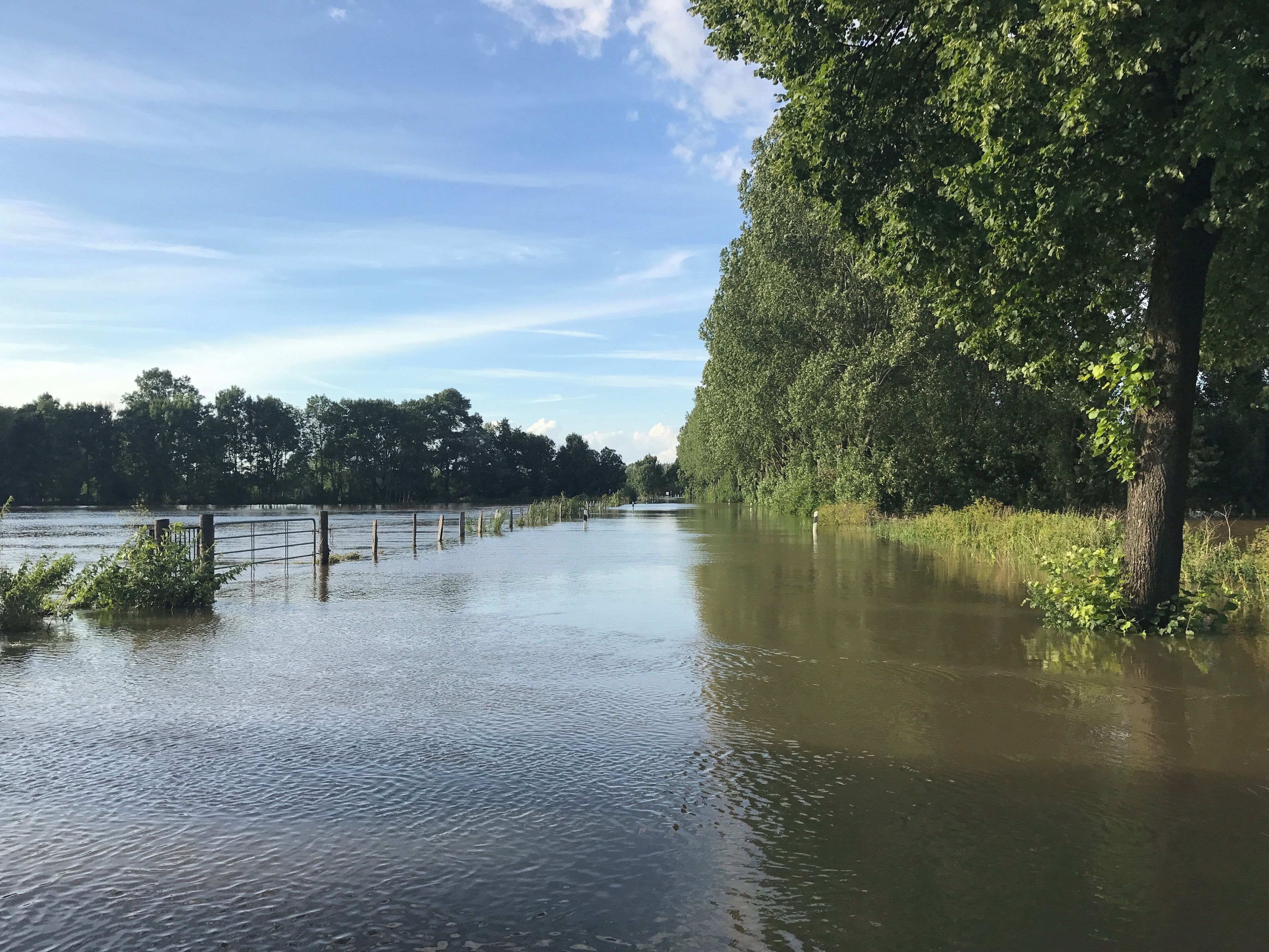 Leine flood Hemmingen 2017-07-28 Wülfeler Straße