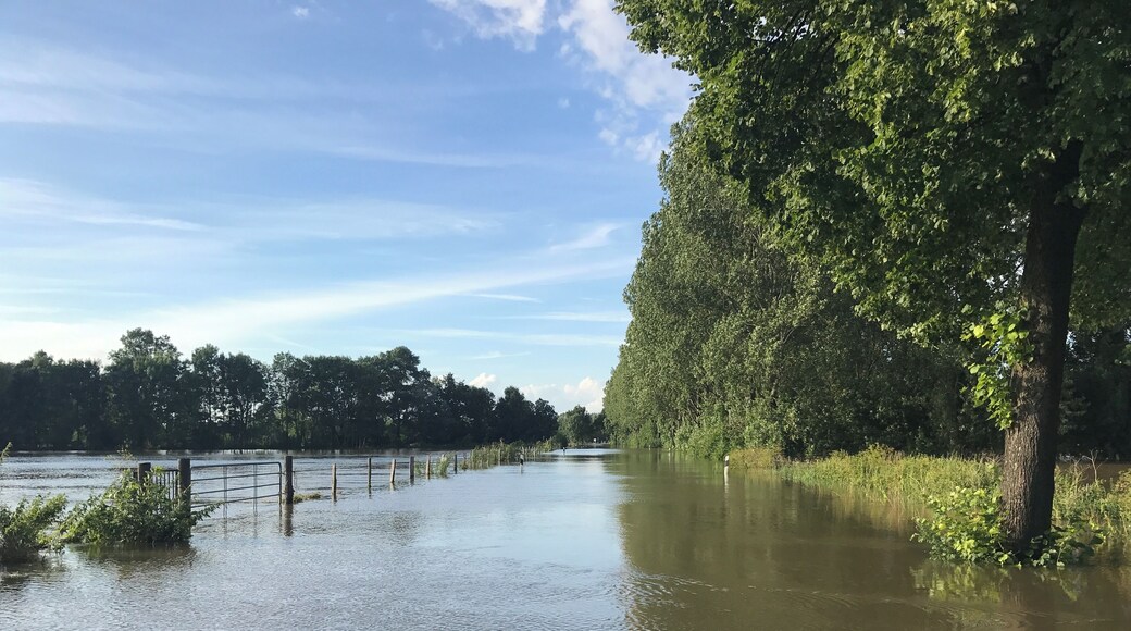 Leine flood Hemmingen 2017-07-28 Wülfeler Straße
