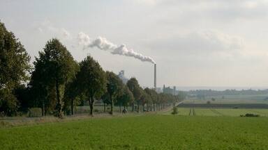 A green field with trees and a factory emitting smoke.