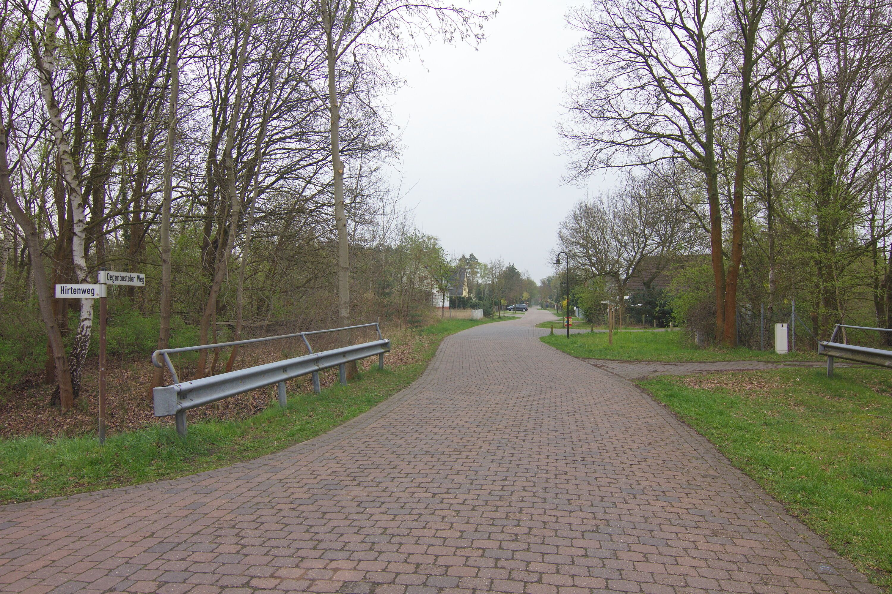 A paved pathway flanked by trees and benches, leading towards a distant building.
