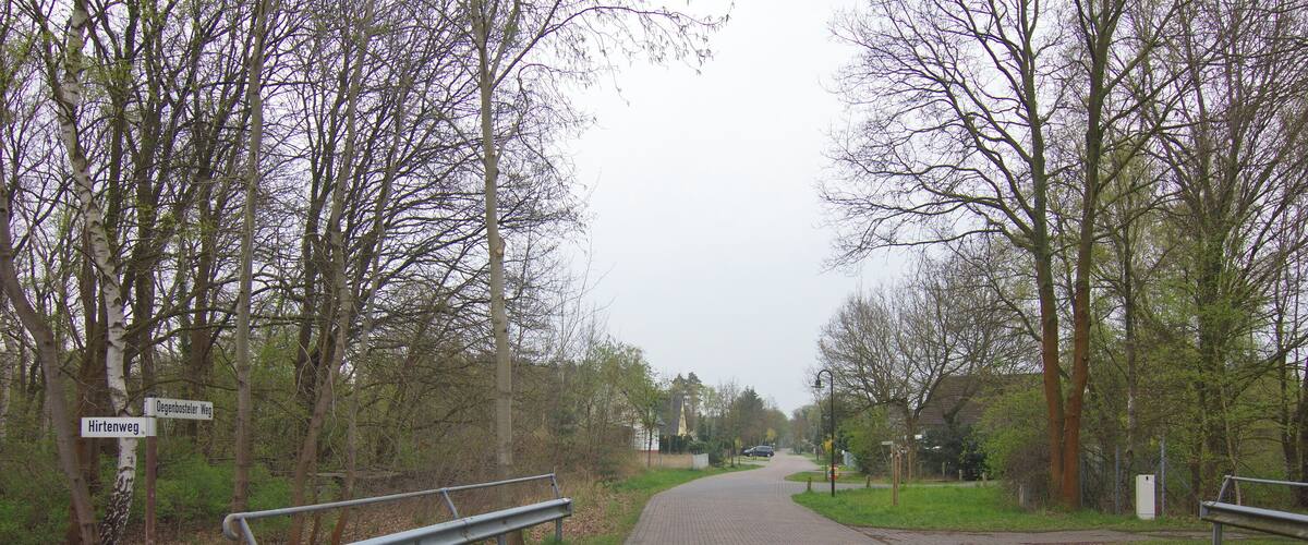 A paved pathway flanked by trees and benches, leading towards a distant building.