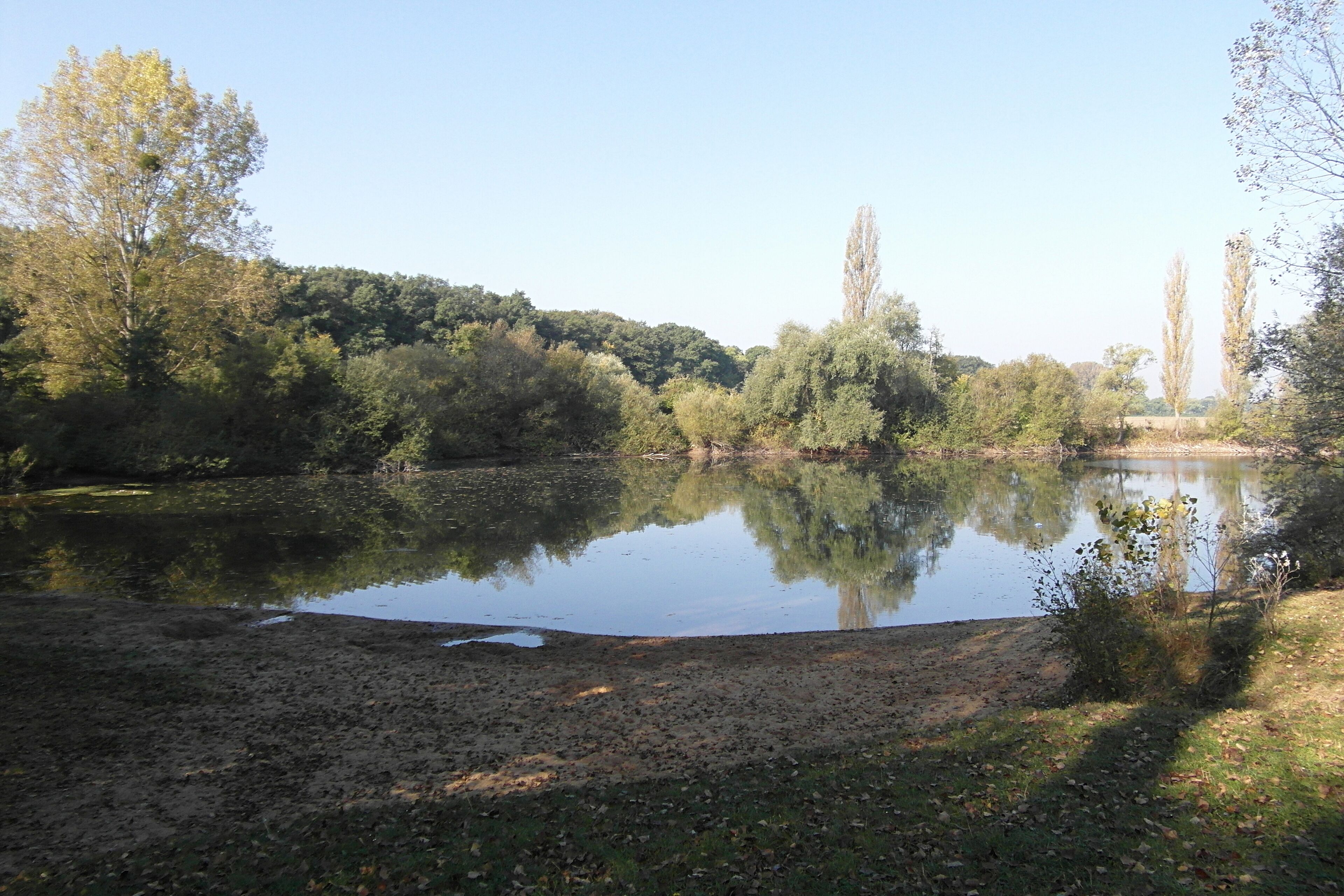 Der Kiesteich Lohnde ist ein seit Mitte der 1980er als Badesee (und Tauchgewässer) genutztes Gelände im Nordwesten des Seelzer Stadtteils Lohnde.