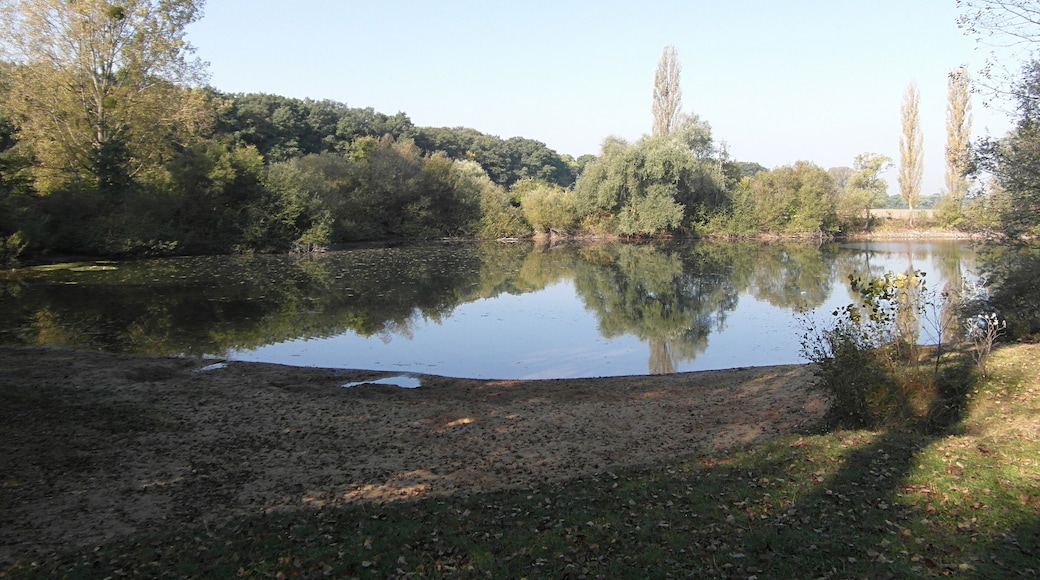 Der Kiesteich Lohnde ist ein seit Mitte der 1980er als Badesee (und Tauchgewässer) genutztes Gelände im Nordwesten des Seelzer Stadtteils Lohnde.