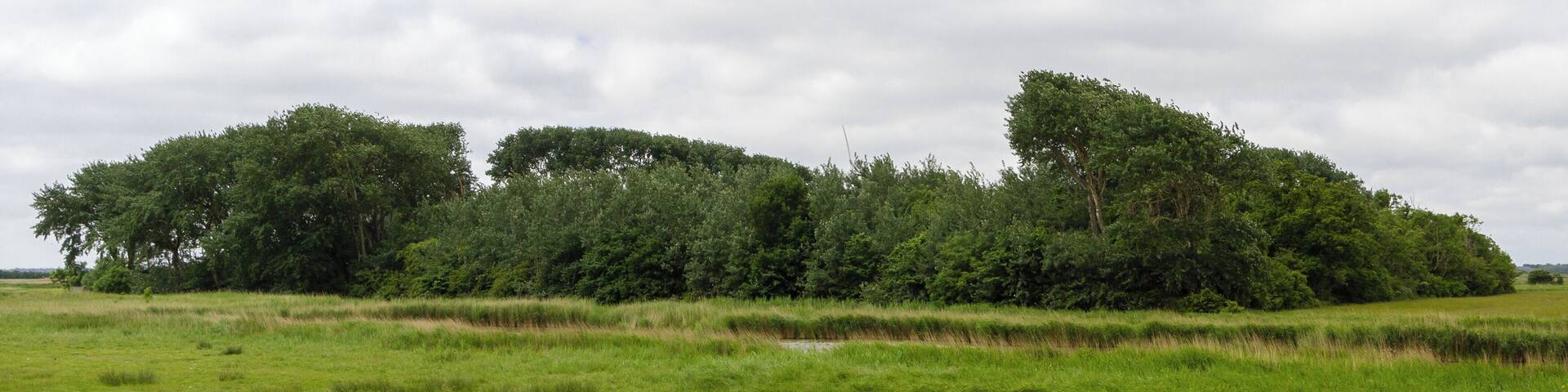 Designation: New Oevenum's duck decoy 'Belgrad' Location: Norderweg Place: Municipality Oevenum, Collective municipality Föhr-Amrum, District Nordfriesland, Schleswig-Holstein, Federal Republic of Germany Description: Device to capture wild ducks Object identification: 9579