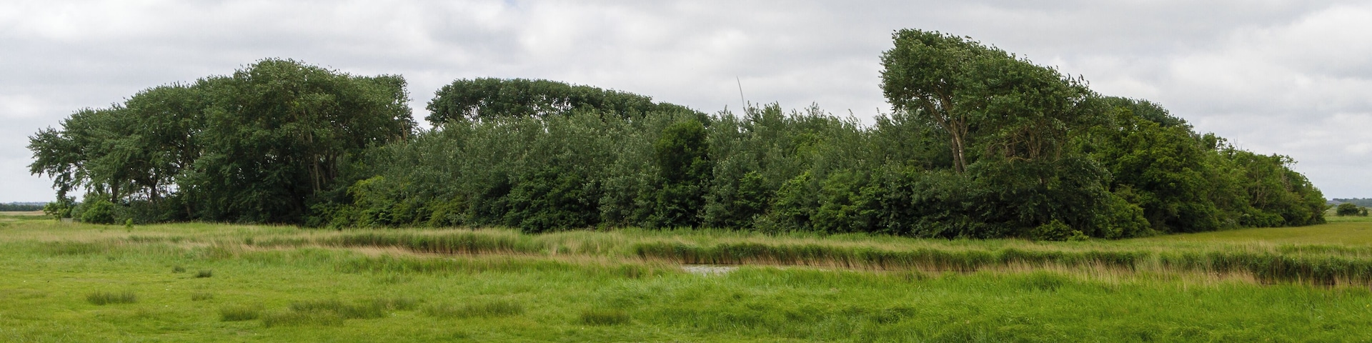 Designation: New Oevenum's duck decoy 'Belgrad' Location: Norderweg Place: Municipality Oevenum, Collective municipality Föhr-Amrum, District Nordfriesland, Schleswig-Holstein, Federal Republic of Germany Description: Device to capture wild ducks Object identification: 9579