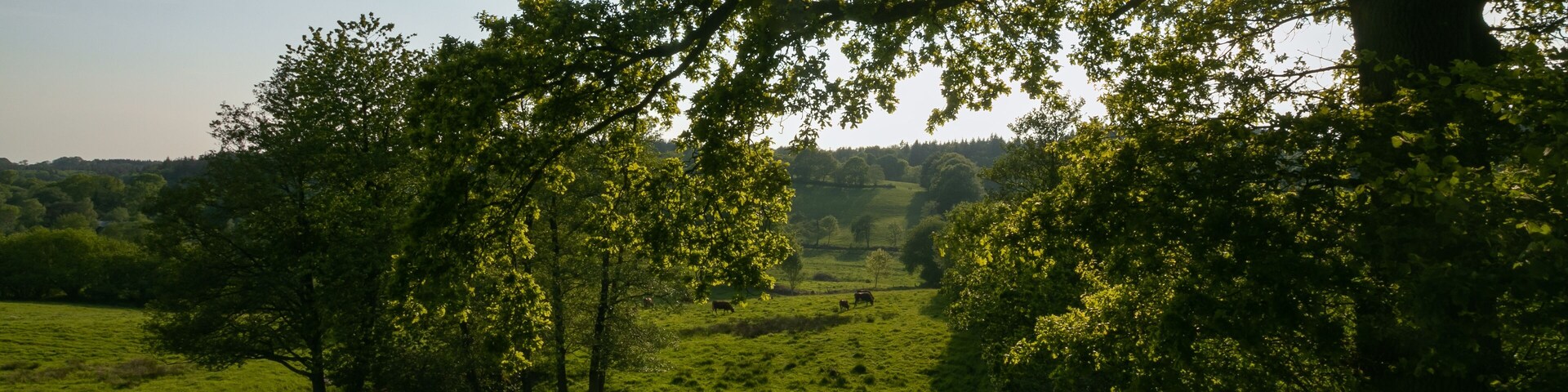 idyllic rural landscape with green hills and forest