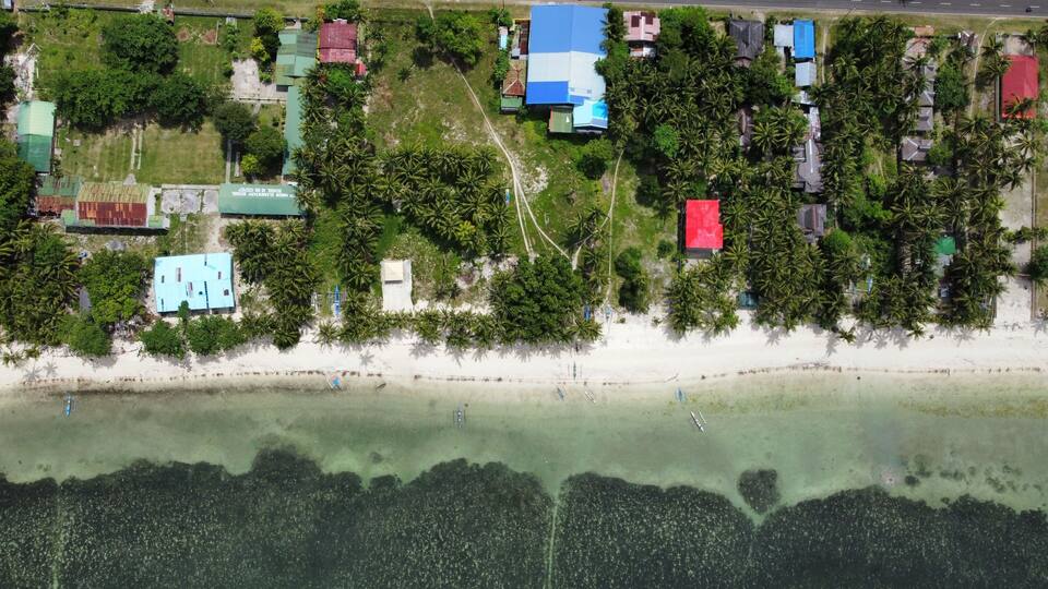An aerial view of a coastal area with a beach, houses, and palm trees.