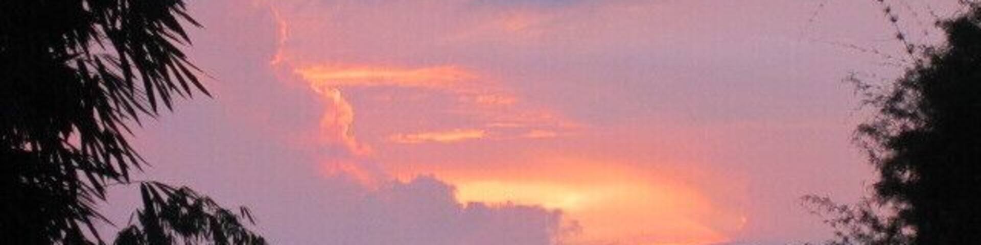 A sunset with orange and pink clouds, silhouetted trees, and a clear sky.