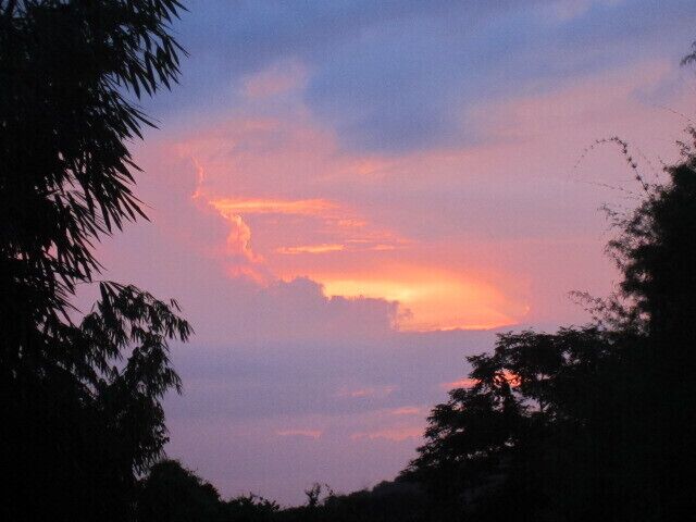 A sunset with orange and pink clouds, silhouetted trees, and a clear sky.
