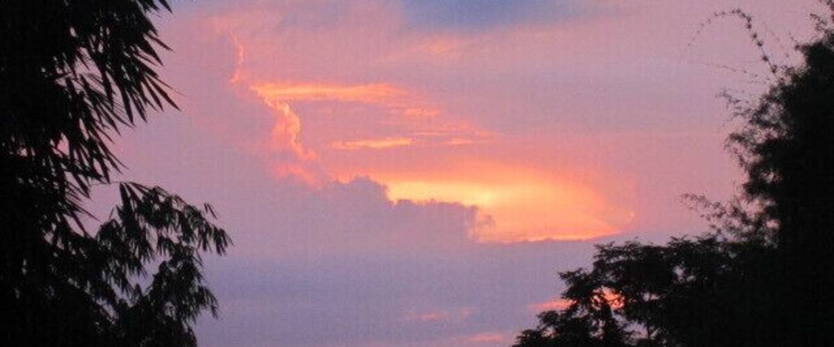 A sunset with orange and pink clouds, silhouetted trees, and a clear sky.