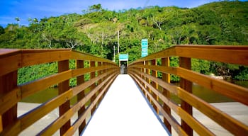 Matadeiro Beach which includes a bridge