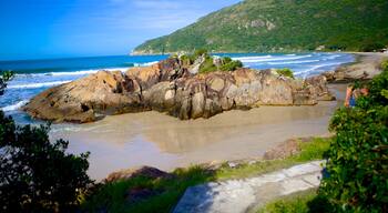 漫迪諾海灘 其中包括 山水美景 和 綜覽海岸風景