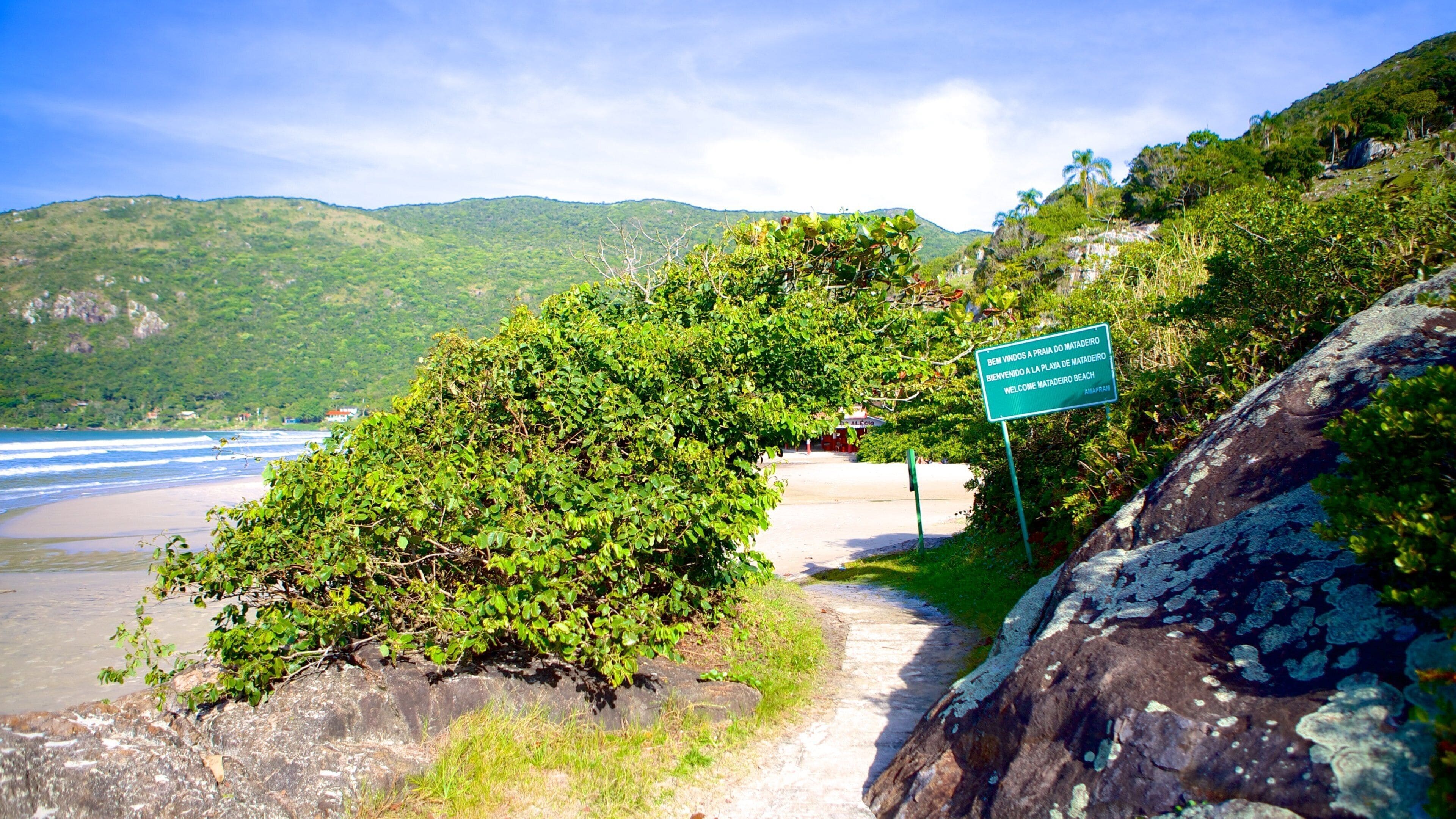Matadeiro Beach featuring general coastal views