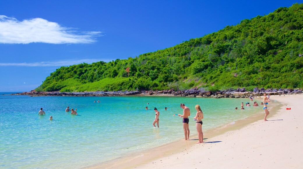 Nual Strand som viser en sandstrand og svømning såvel som en stor gruppe mennesker