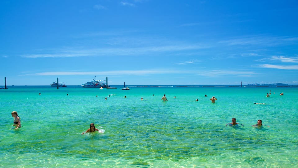 Samae Beach which includes general coastal views, swimming and coral