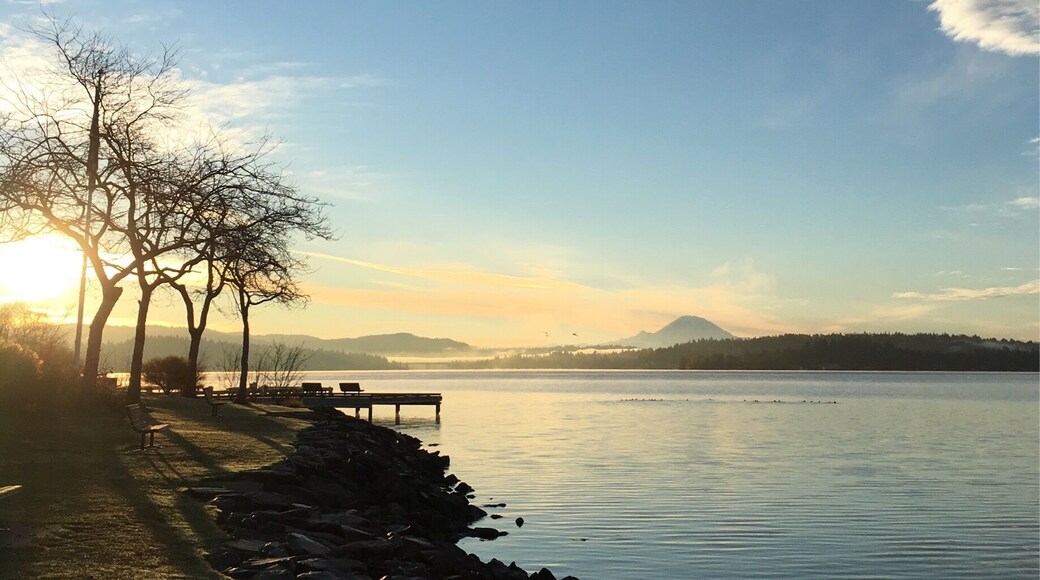 What a beautiful Fall/Autumnal morning in Medina.
Stumbled upon this pristine beach park in Medina while out for a jog. The panorama on a crisp morning is out of this world!
#merch #lifeatexpedia
