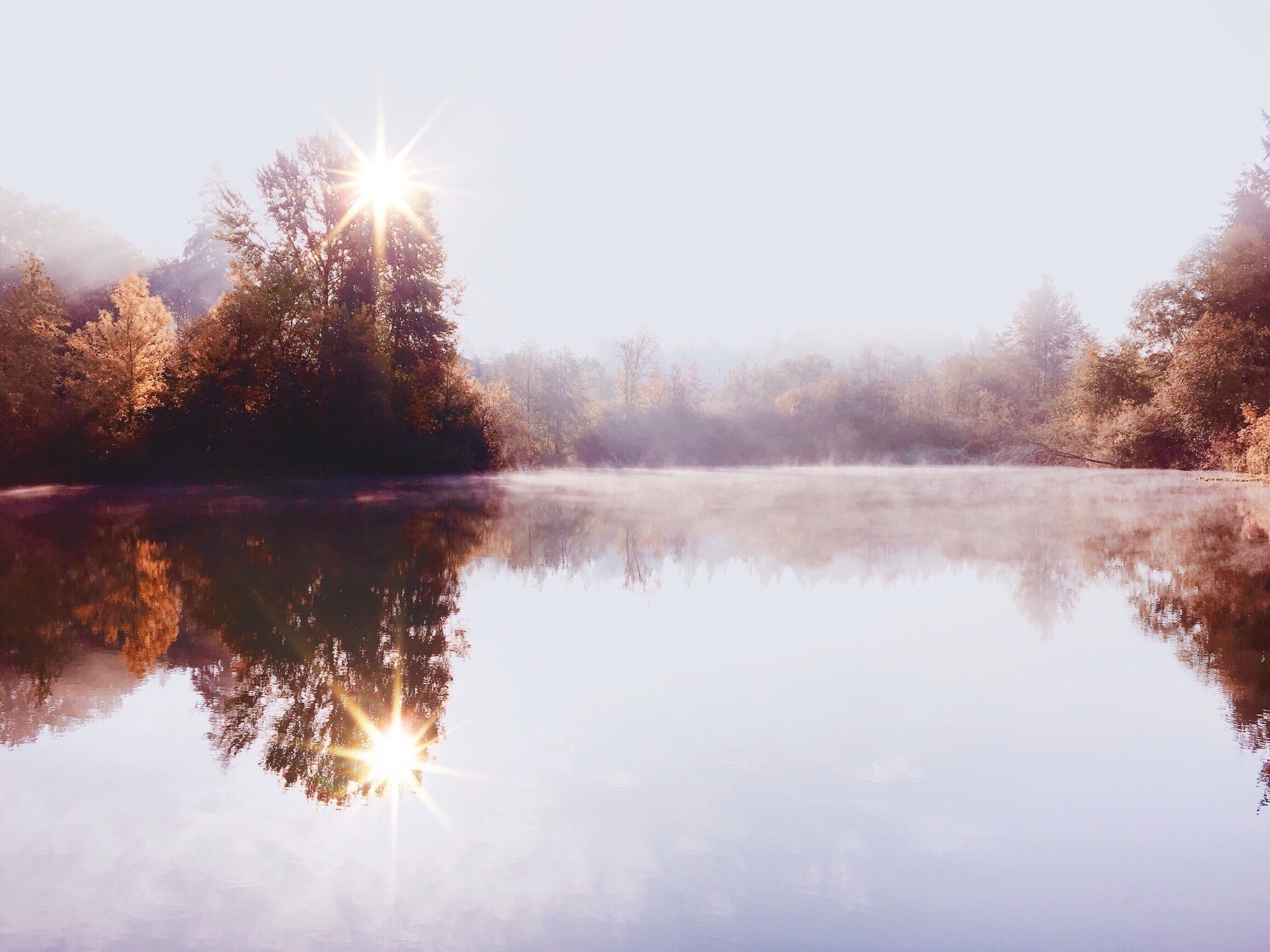 One of the many reasons why I love #october and #autumn season.  ...#desktop #colorful