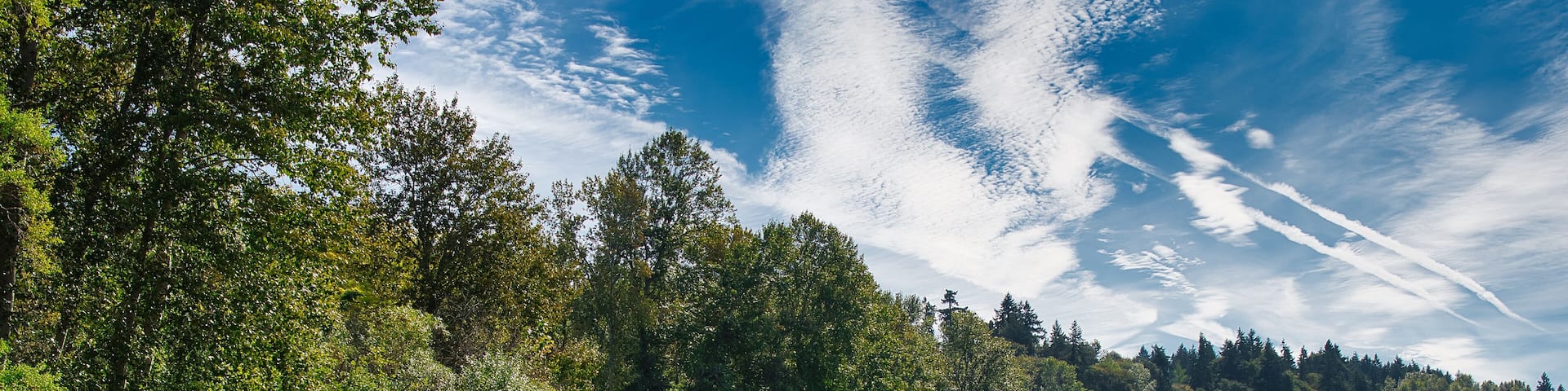 2019-10-02 LAKE WASHINGTON SHORE LINE FROM NEWCASTLE PARK