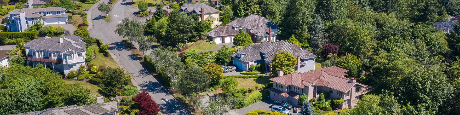 Bairro residencial com casas, ruas e vegetação densa.