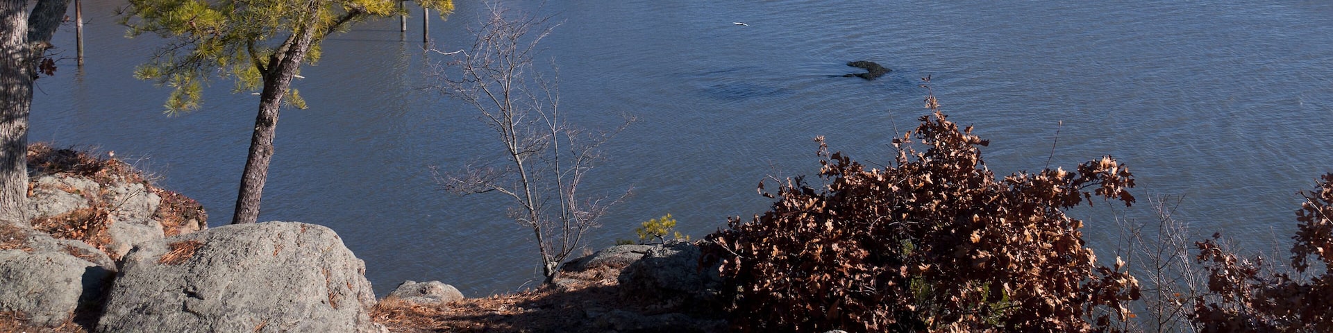 Kelsey Island in Long Island Sound in Branford Connecticut on a cold winter morning.; Shutterstock ID 355954055; Purchase Order: -