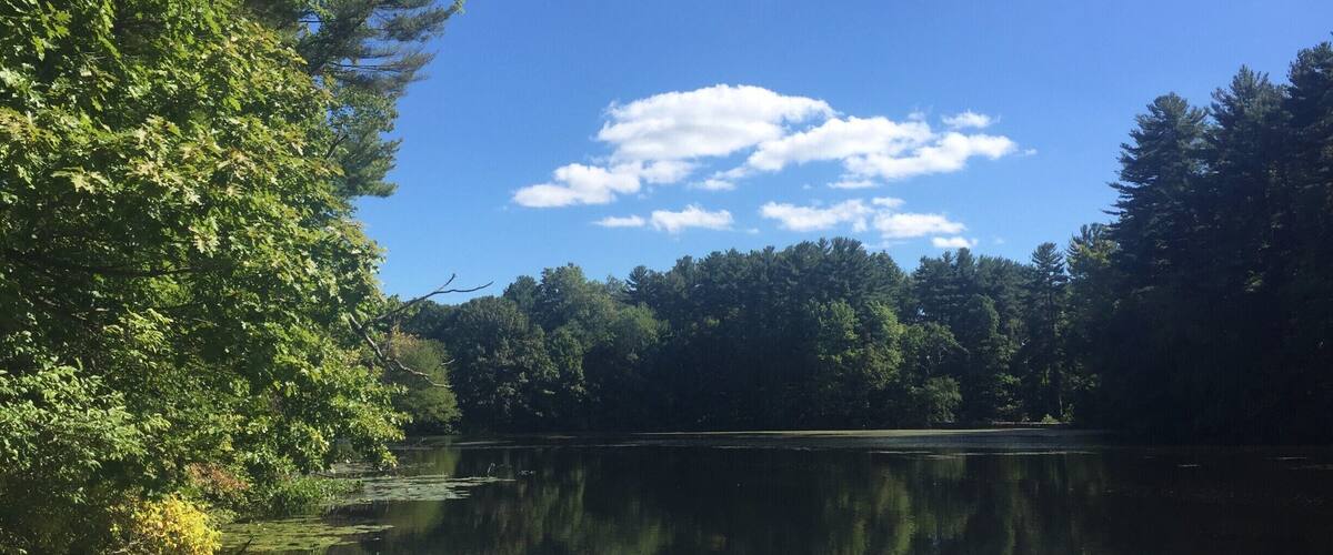 overview of the pond in Branford. Beautiful spot