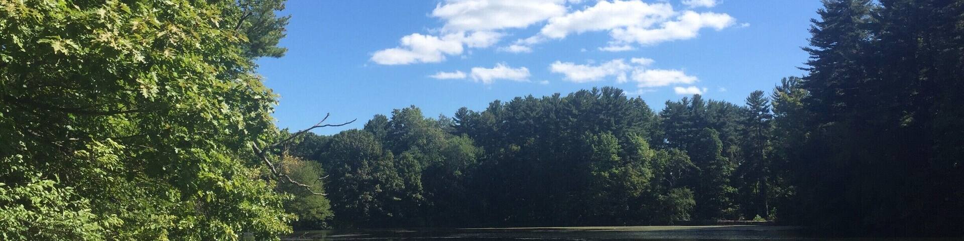 overview of the pond in Branford. Beautiful spot