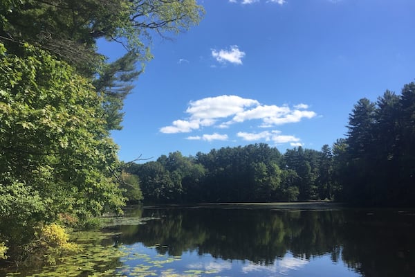 overview of the pond in Branford. Beautiful spot