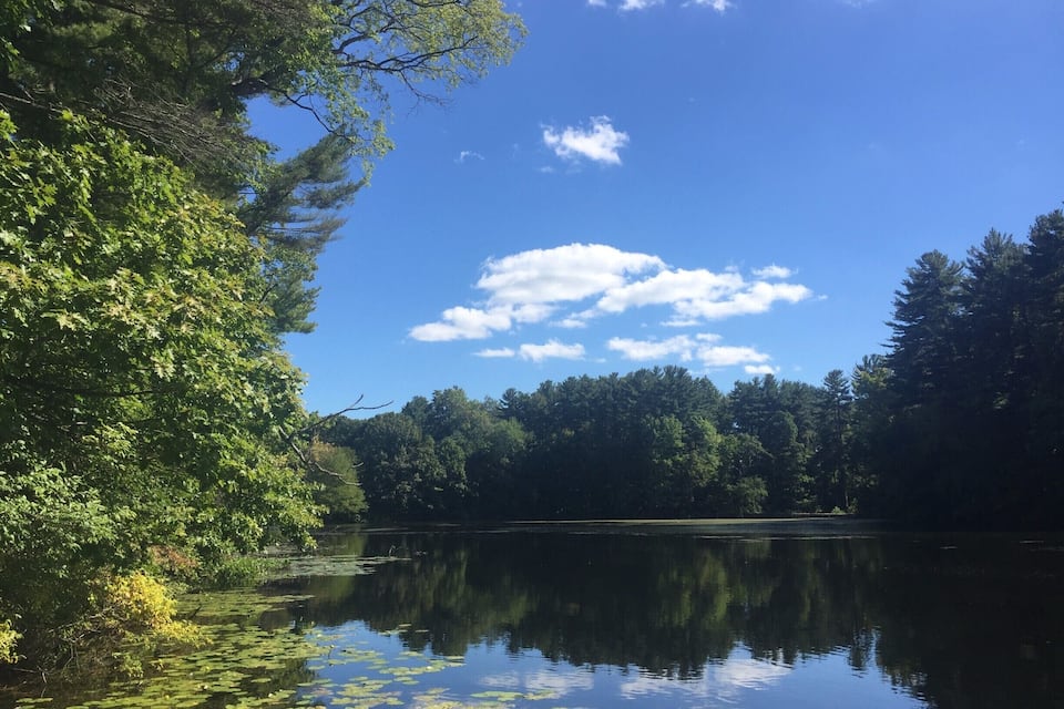 A calm lake surrounded by dense trees and a clear blue sky with scattered clouds.