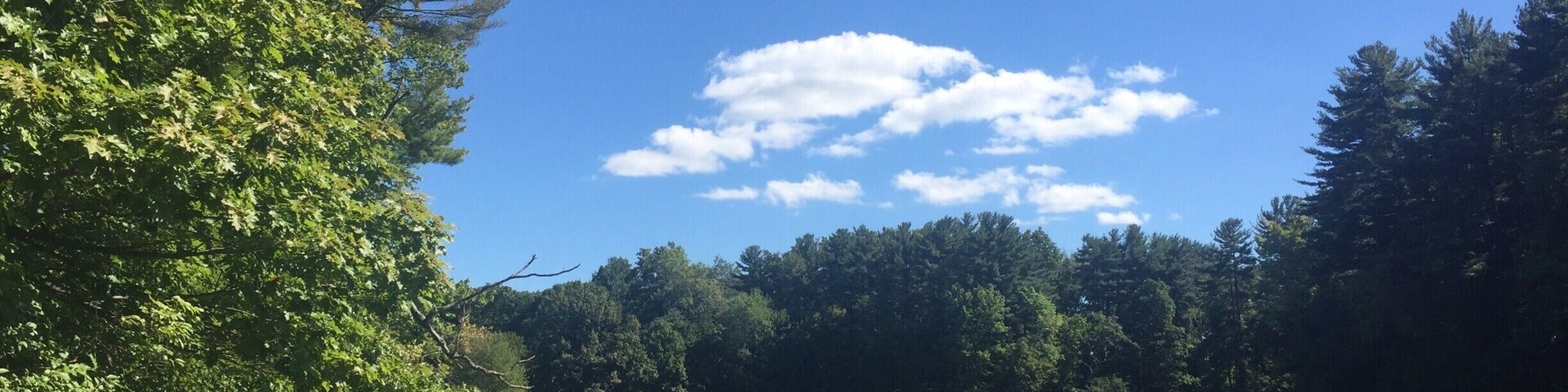overview of the pond in Branford. Beautiful spot