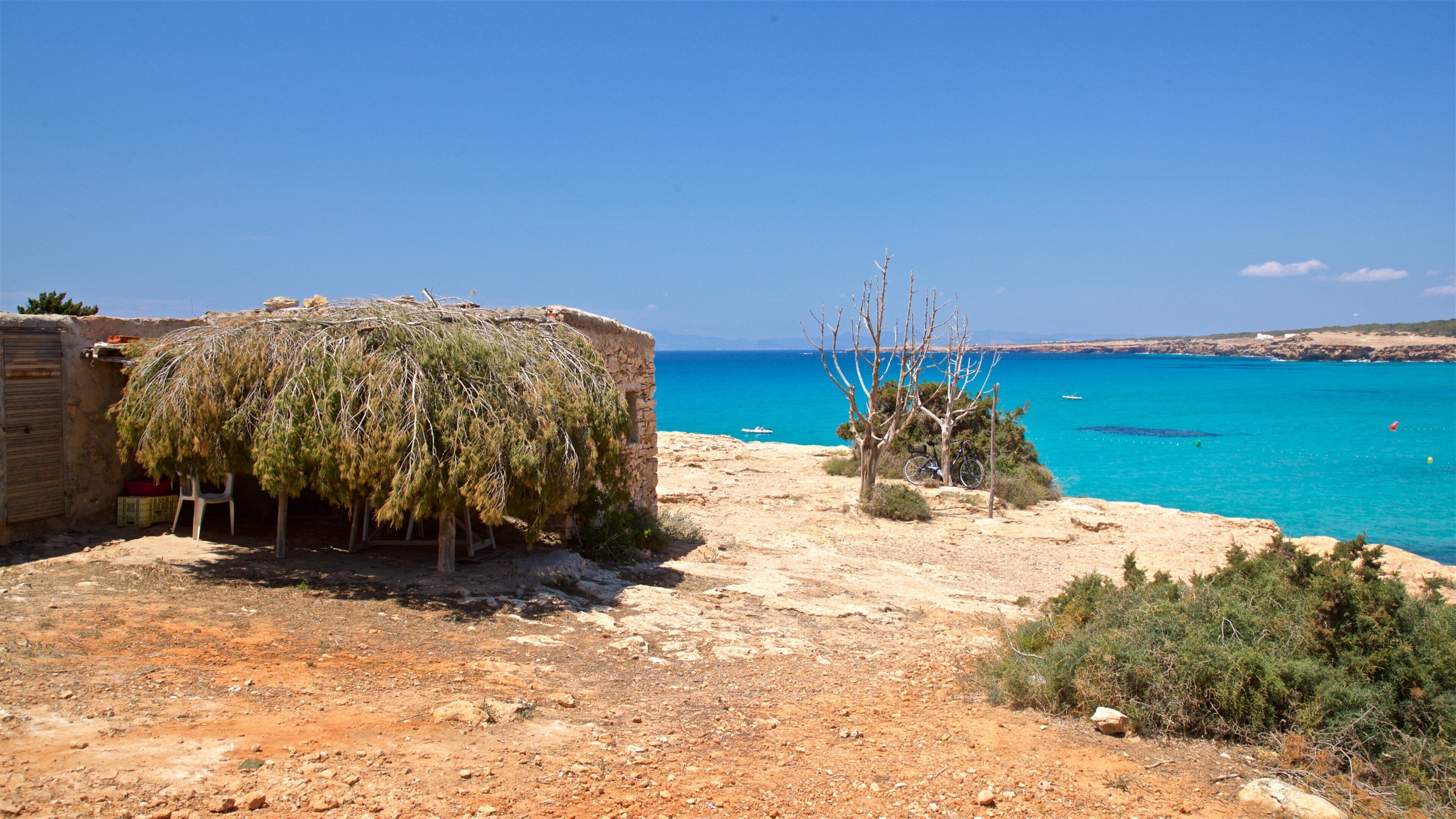 Cala Saona which includes general coastal views and rugged coastline