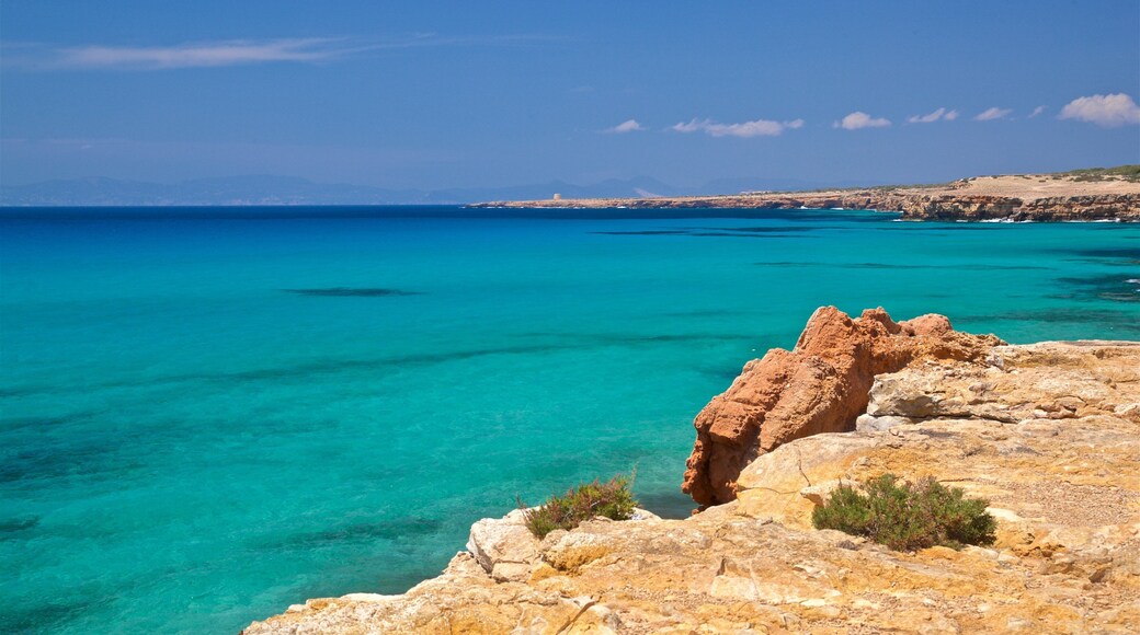 Cala Saona showing general coastal views and rugged coastline