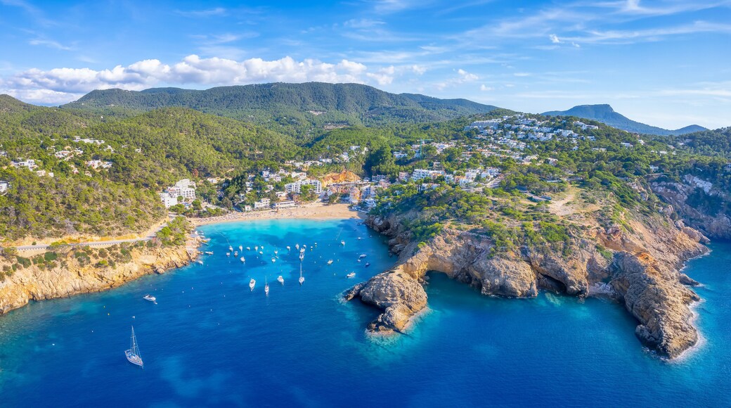 ์นผ๋ผ ๋ฐ๋ฐ์ผ