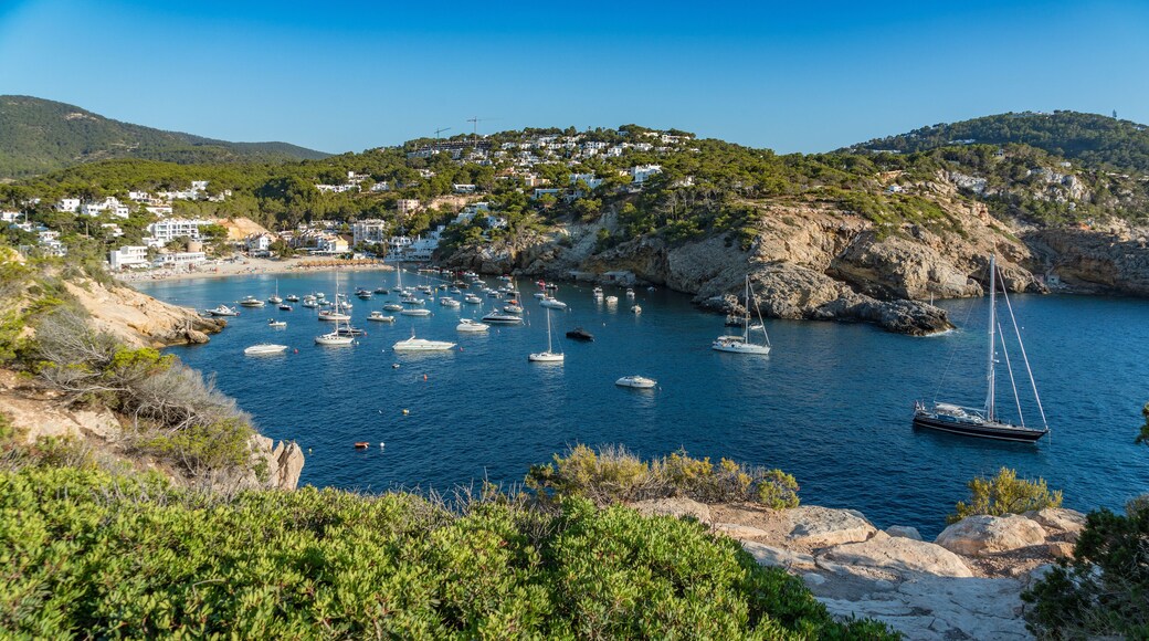 ์นผ๋ผ ๋ฐ๋ฐ์ผ