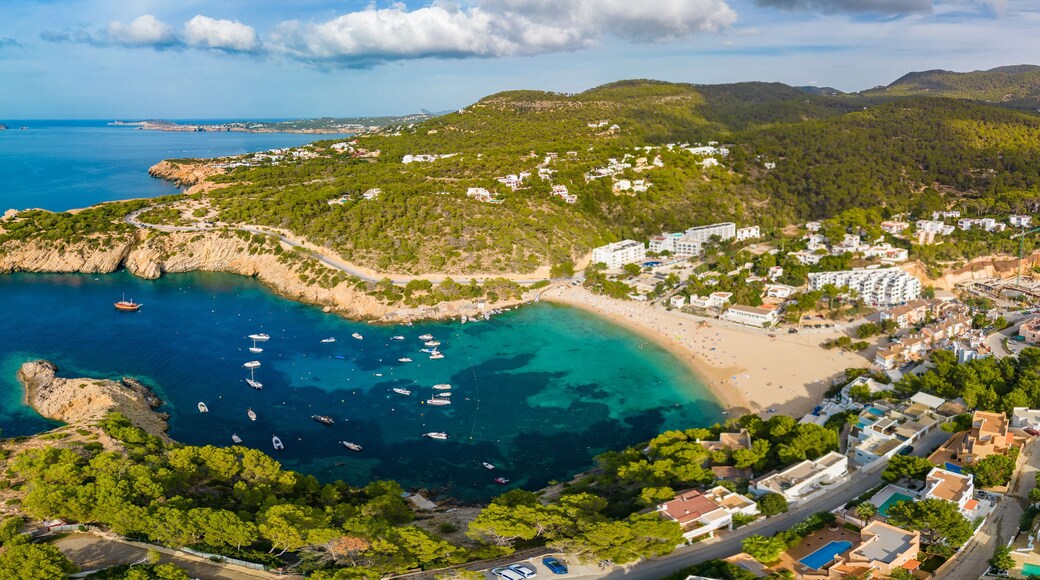 ์นผ๋ผ ๋ฐ๋ฐ์ผ