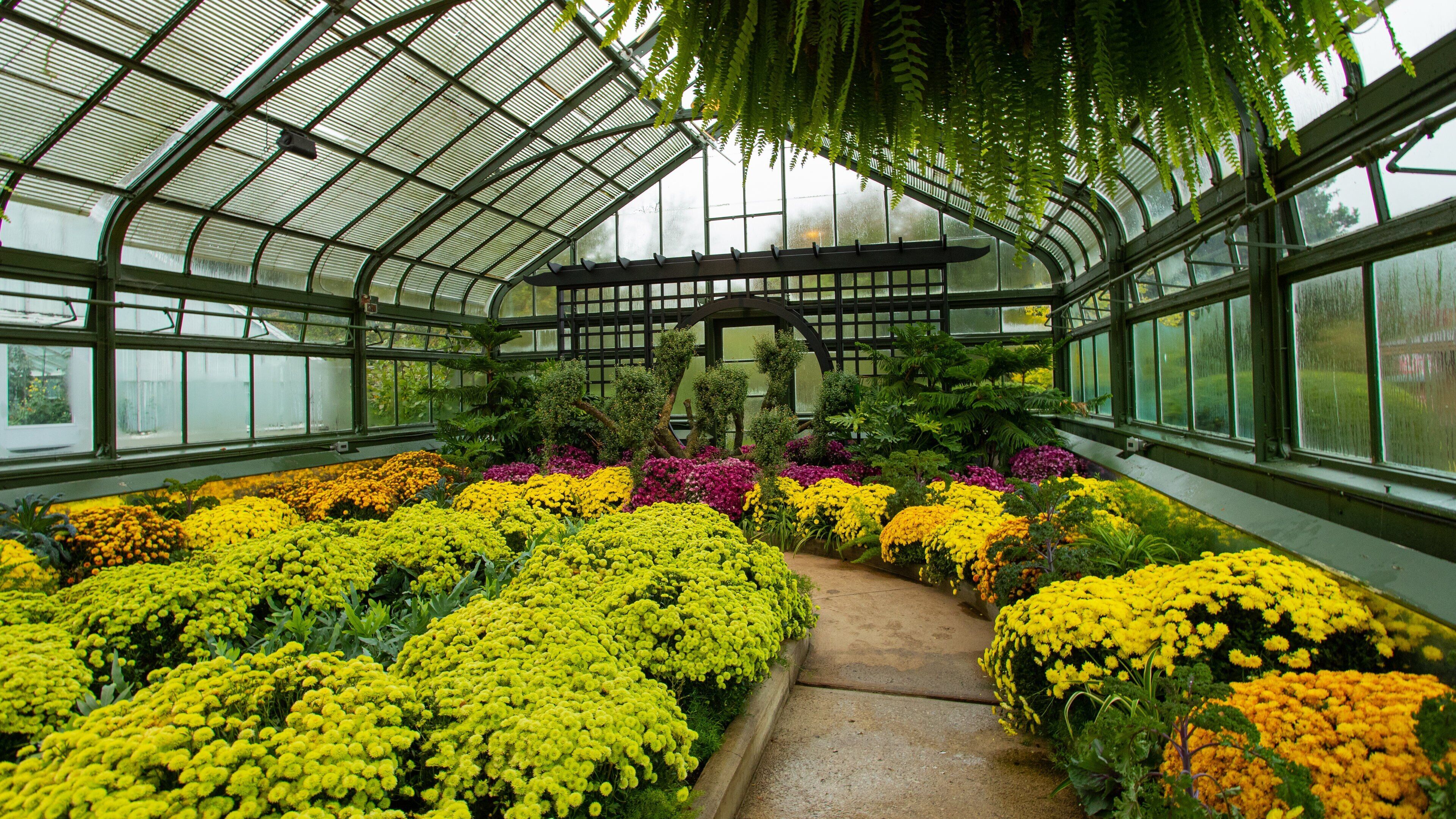 Niagara Parks Floral Showhouse showing a park, interior views and flowers