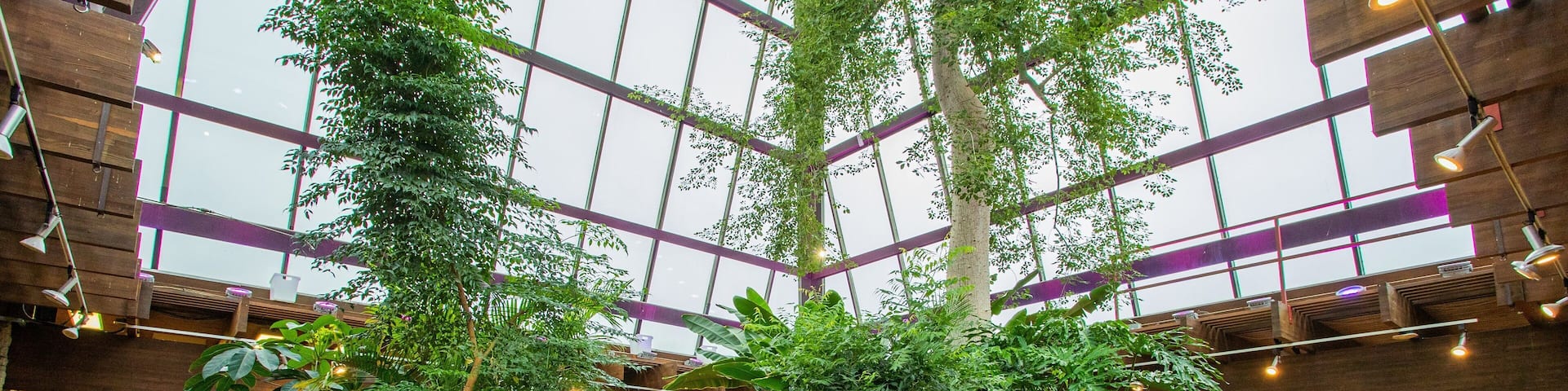 Niagara Parks Floral Showhouse featuring interior views and a park