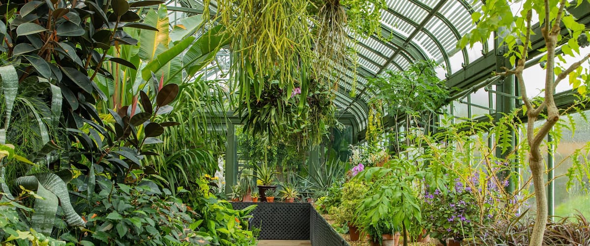 Niagara Parks Floral Showhouse showing a park, flowers and interior views