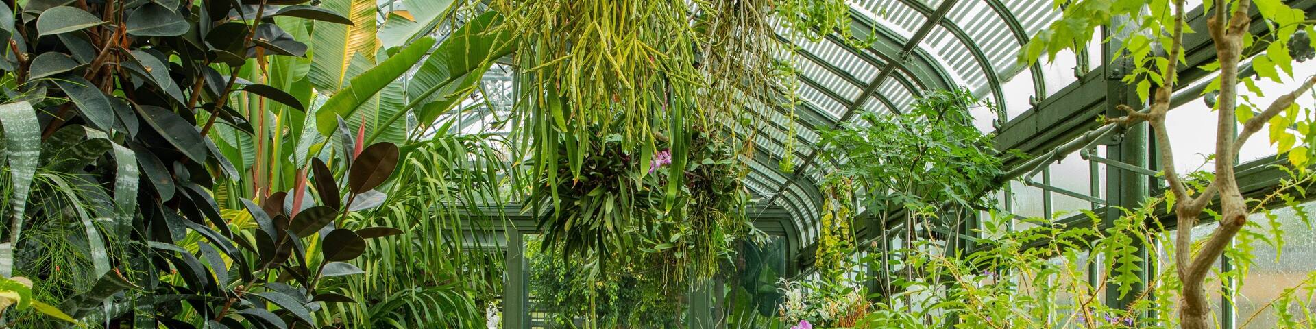 Niagara Parks Floral Showhouse showing a park, flowers and interior views