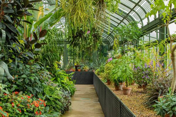 Niagara Parks Floral Showhouse showing a park, flowers and interior views