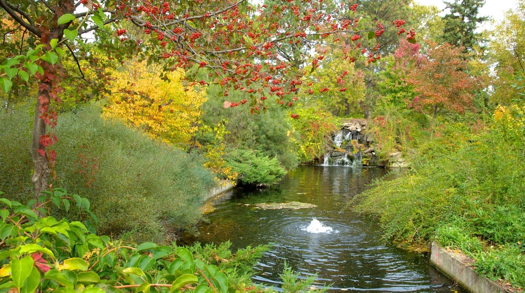 Niagara Parks Botanical Gardens featuring a pond, landscape views and a fountain