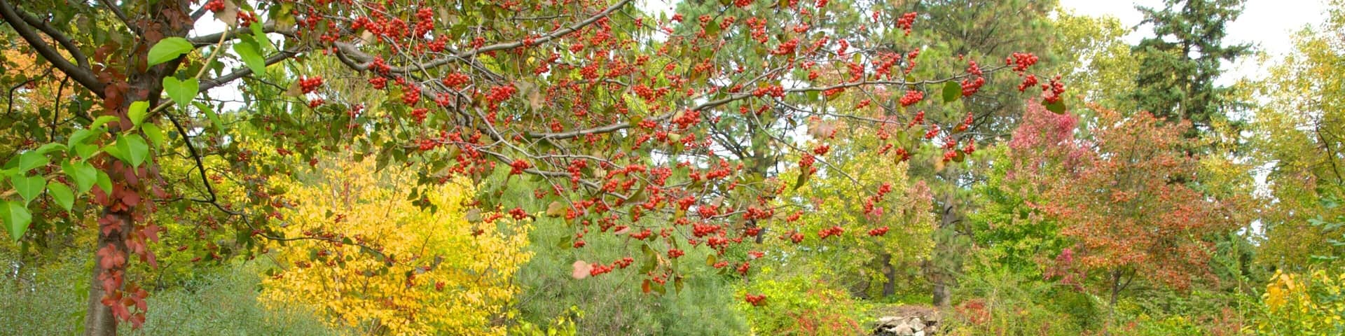 Niagara Parks Botanical Gardens featuring a pond, landscape views and a fountain