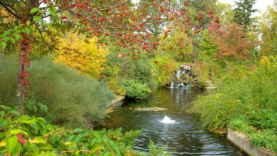 Niagara Parks Botanical Gardens showing a fountain, a pond and a garden