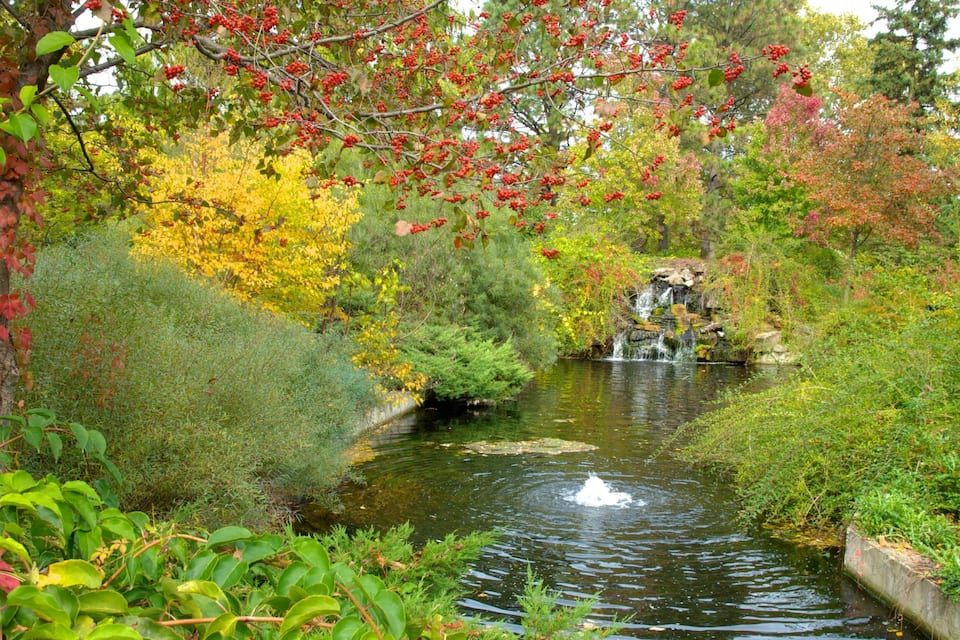 Un jardí tranquil amb una petita cascada, vegetació exuberant i arbres de diferents tonalitats tardanes.