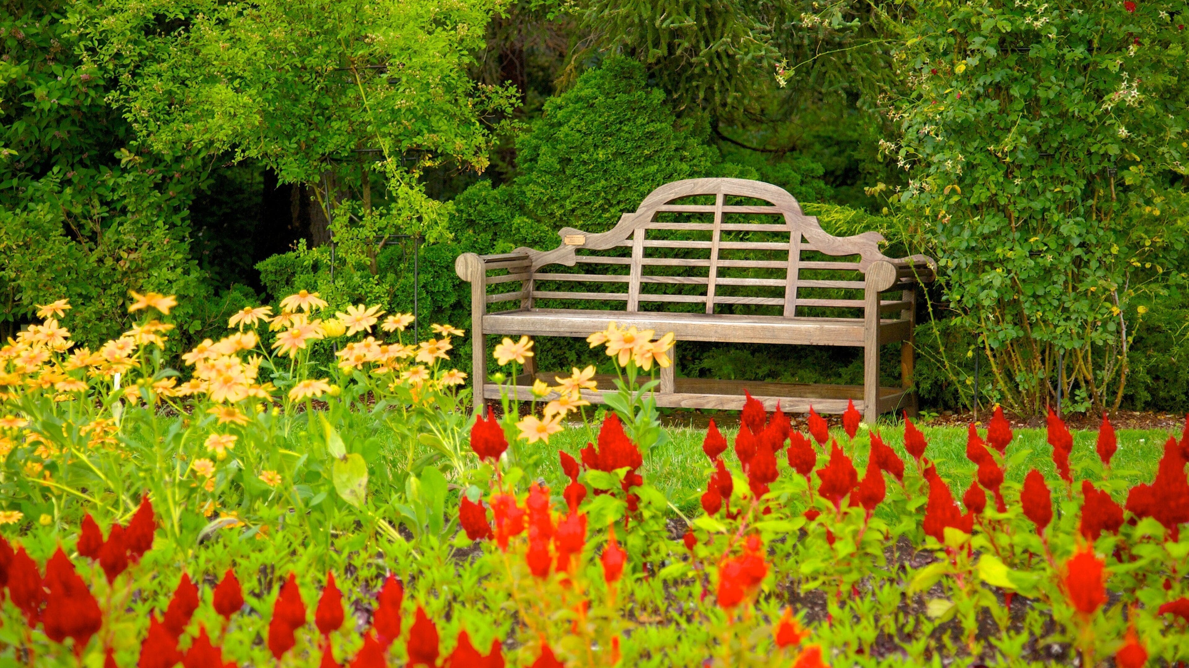 A wooden bench surrounded by vibrant flowers and lush greenery.