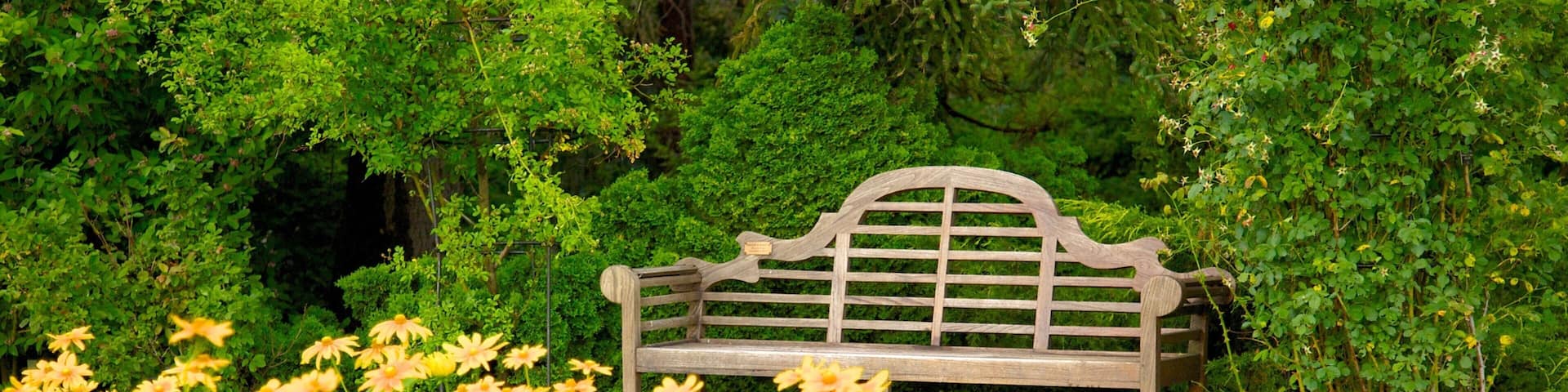 A wooden bench surrounded by vibrant flowers and lush greenery.
