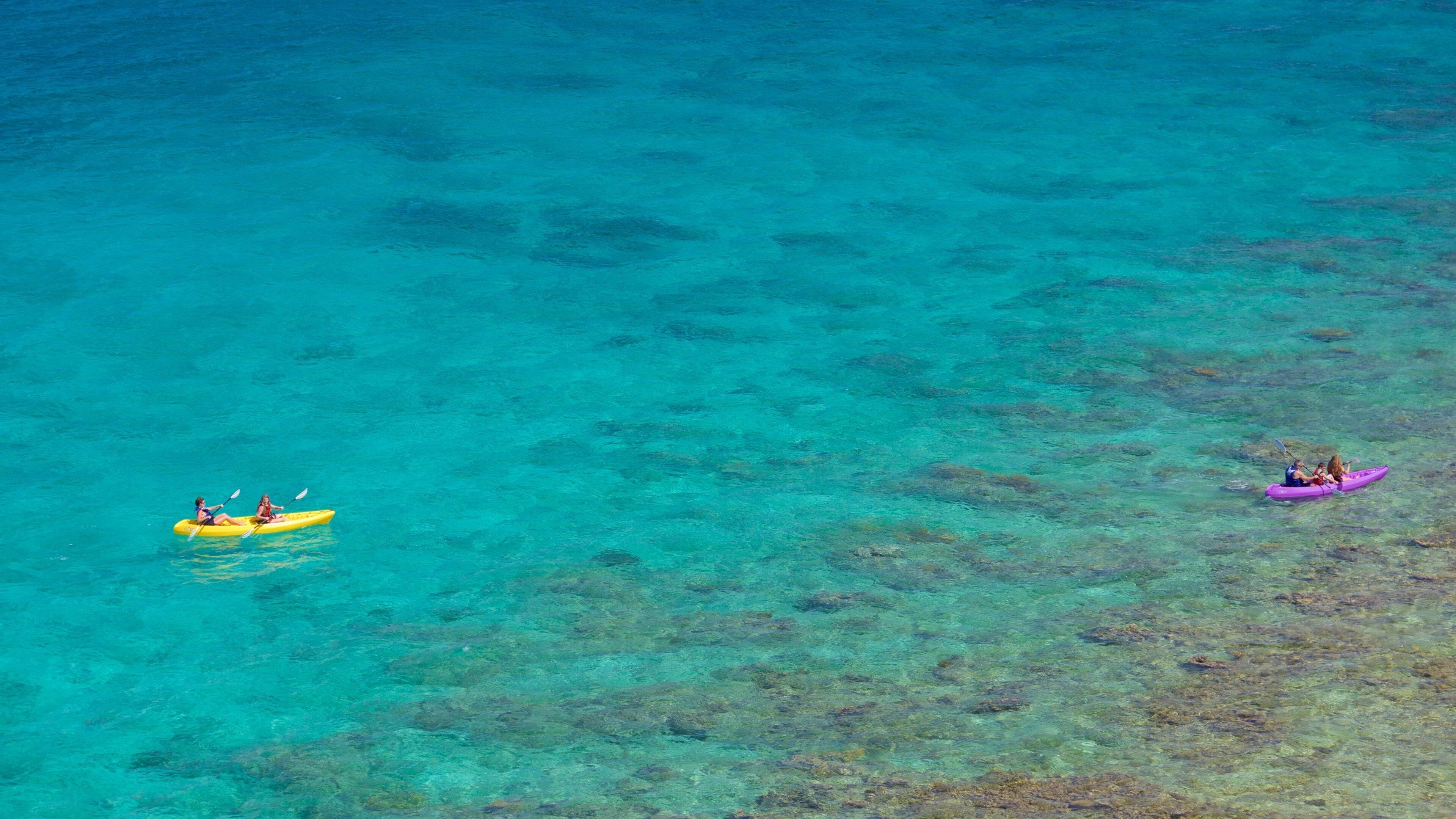 Frydendal featuring coral and kayaking or canoeing