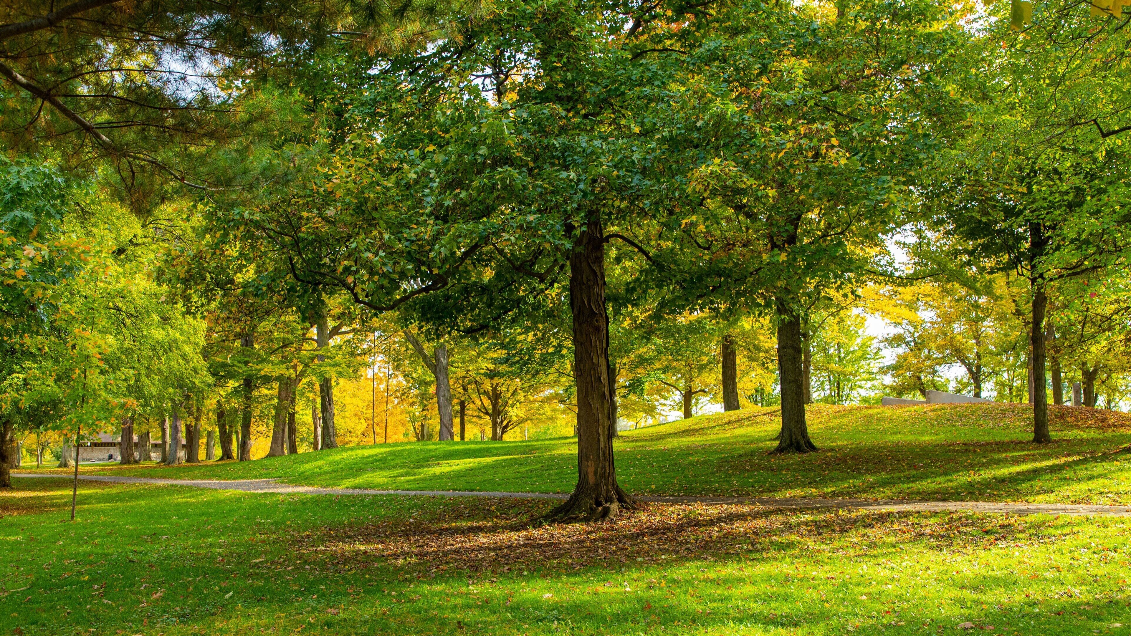 A park with a grassy area, trees, and a path.