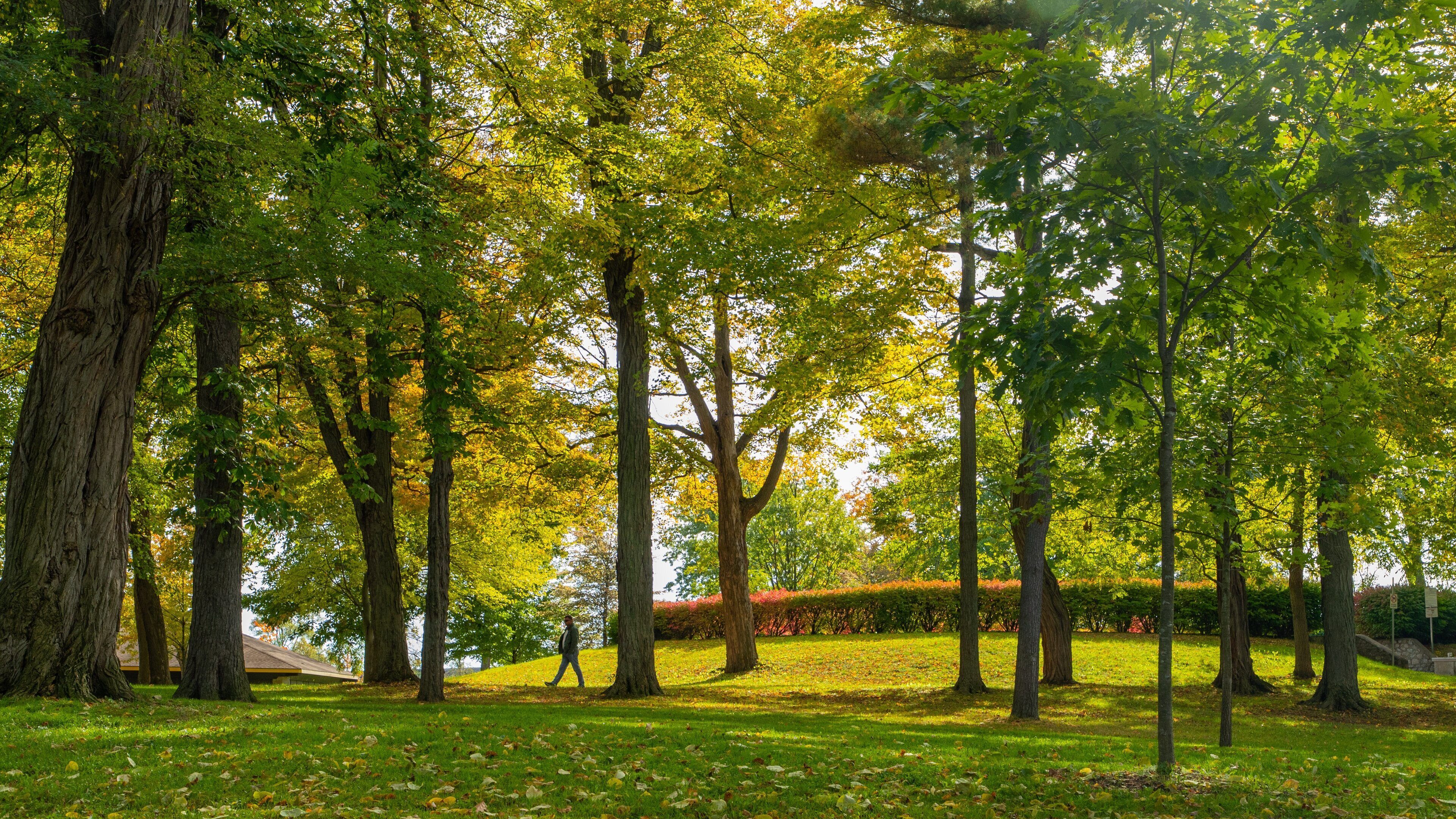 Queenston Heights Park which includes a garden