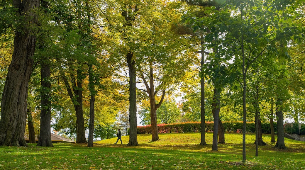 Queenston Heights Park which includes a garden