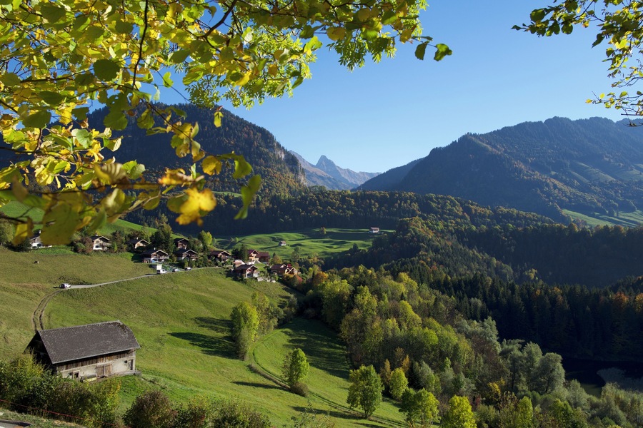 En Gruyère dans le canton de Fribourg (Suisse) il y a énormément de sentier balisés et faciles d'accès qui permettent de découvrir de merveilleux paysages! J'ai pris cette photo à la mi-octobre 2018 avec mon Leica Q et l'envoie ici sans y avoir apporté de retouche